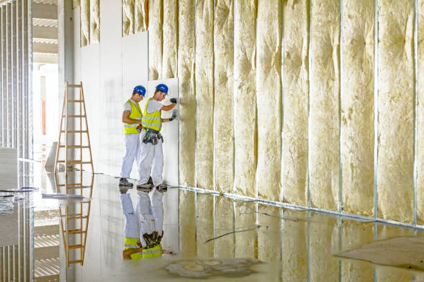 Types of Insulation We Offer in Lansdowne, VA